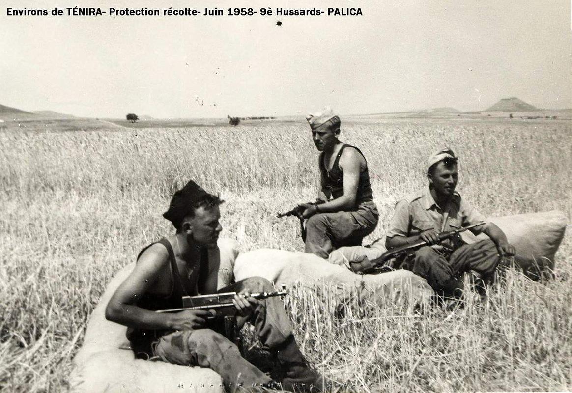 Palica - Divers 006.jpg